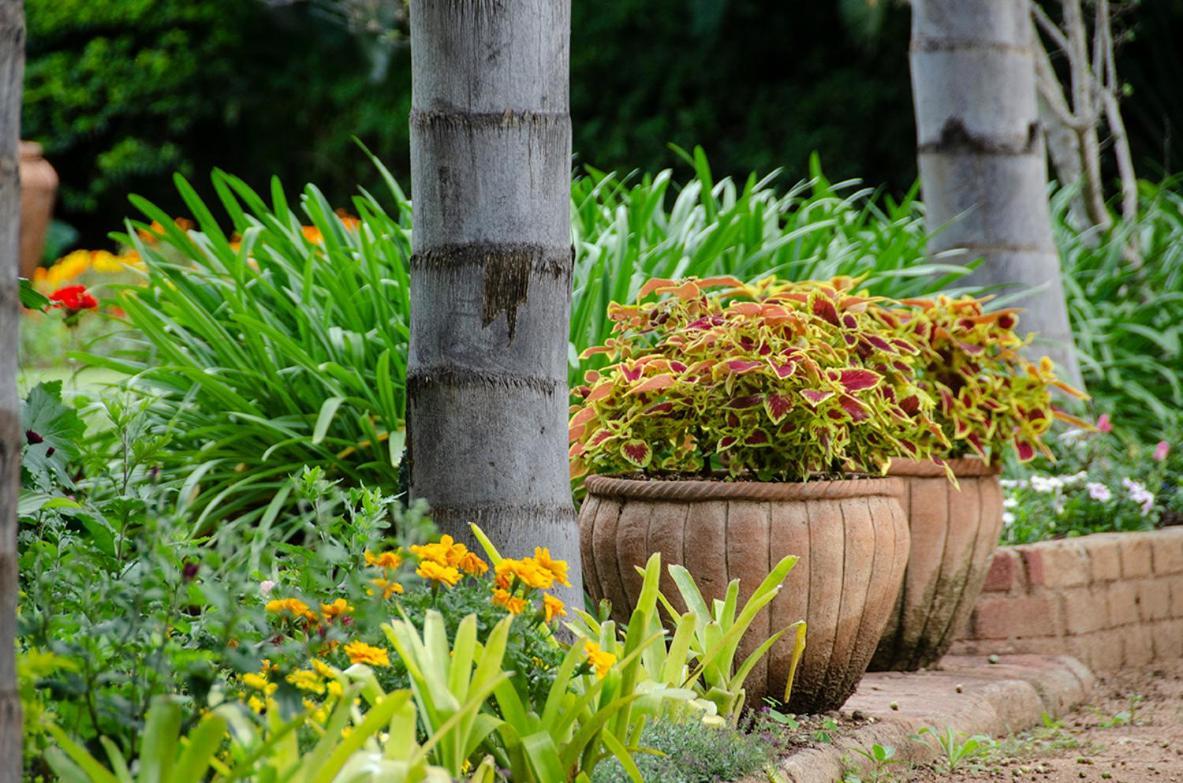 Hillside Manor Hotel Bulawayo Exterior photo